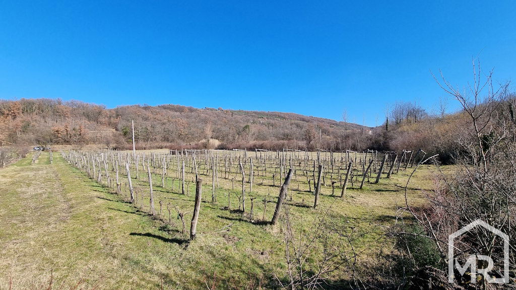 Location: Coastal-Karst, Koper, Vanganel