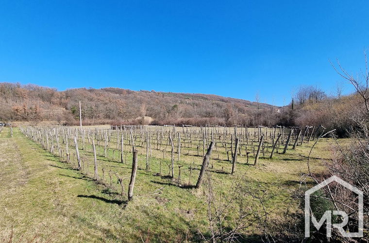 Location: Coastal-Karst, Koper, Vanganel