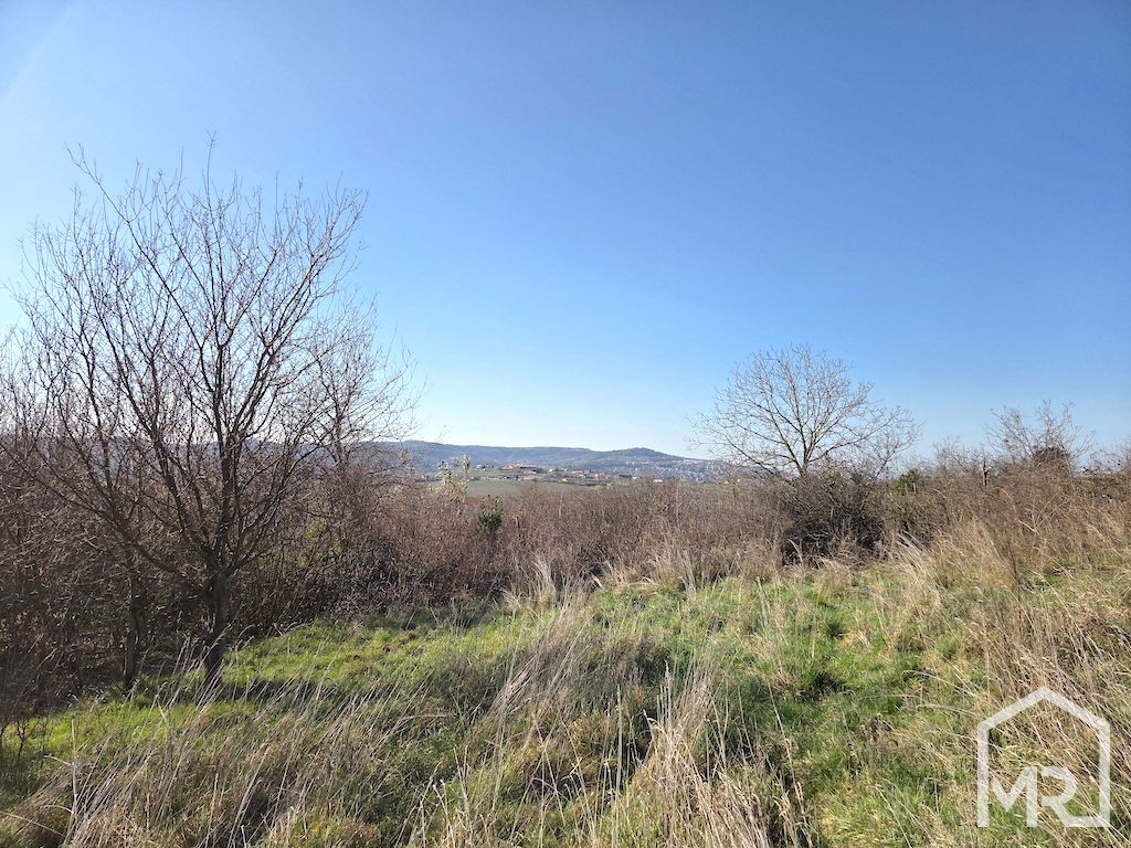 Location: Coastal-Karst, Koper, Prade