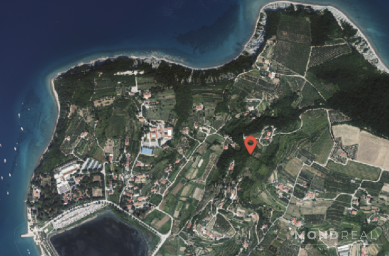 Location: Прибрежная карстовая, Piran, Strunjan