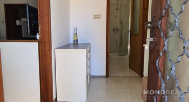 Location: Obalno - kraška, Koper, Olmo