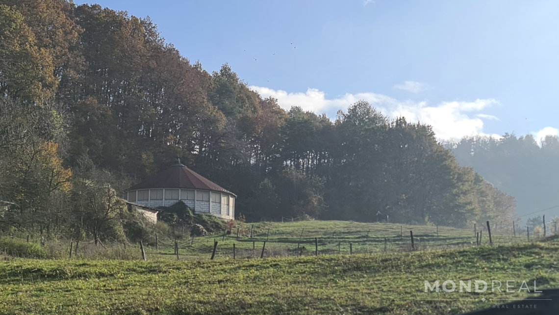 Lokacija: Obalno - kraška, Divača, Senožeče