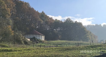 Lokacija: Obalno - kraška, Divača, Senožeče