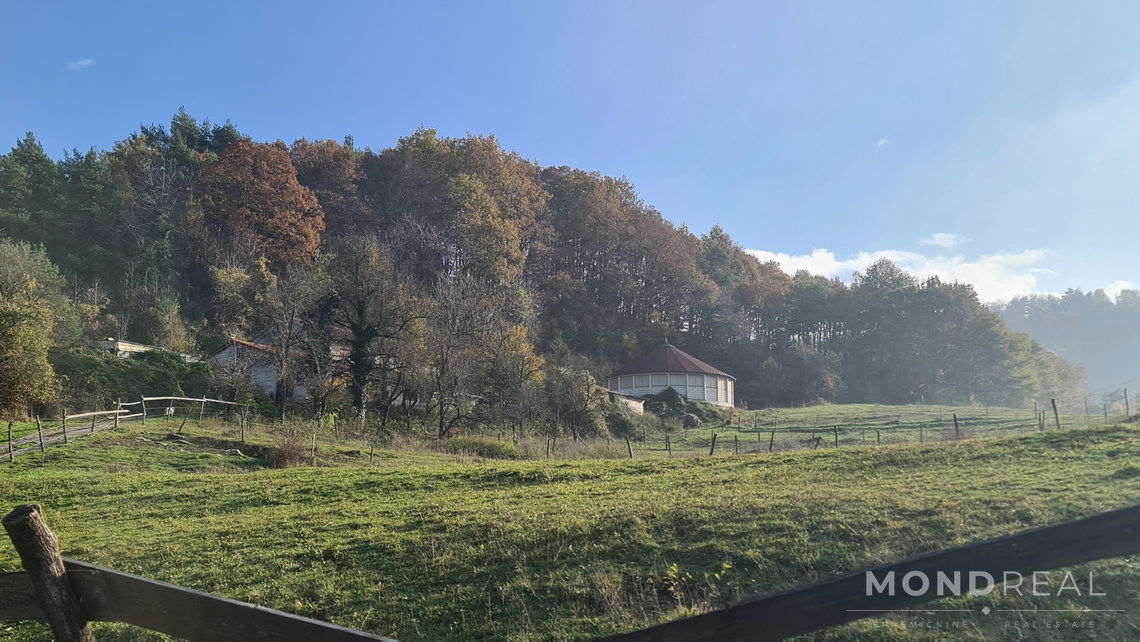 Lokacija: Obalno - kraška, Divača, Senožeče