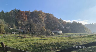 Lokacija: Obalno - kraška, Divača, Senožeče