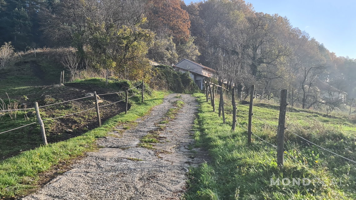 Lokacija: Obalno - kraška, Divača, Senožeče