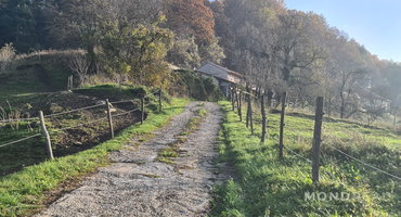 Lokacija: Obalno - kraška, Divača, Senožeče