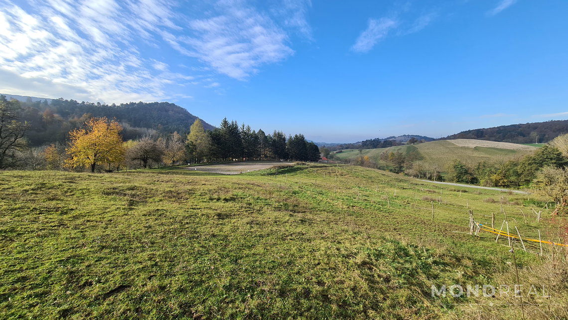 Lokacija: Obalno - kraška, Divača, Senožeče