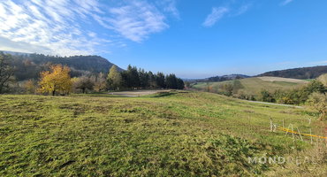 Lokacija: Obalno - kraška, Divača, Senožeče
