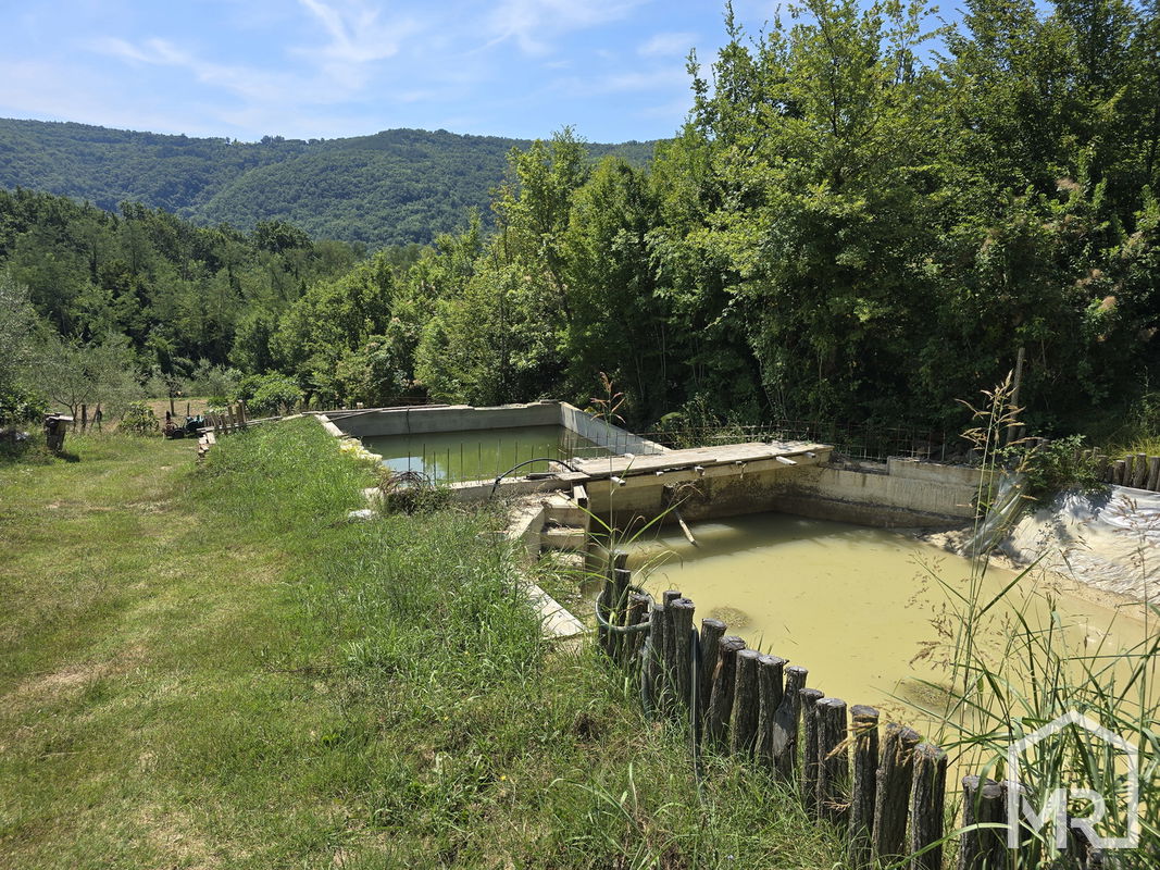 Location: Coastal-Karst, Koper, Puče