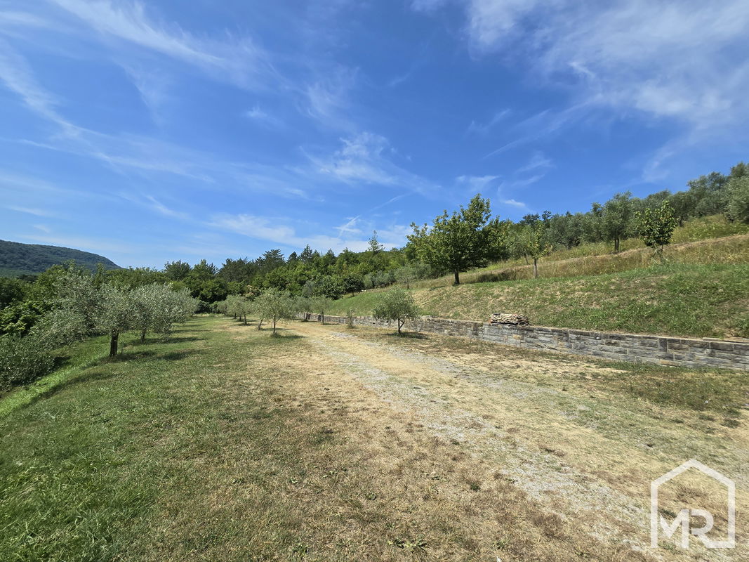 Location: Coastal-Karst, Koper, Puče
