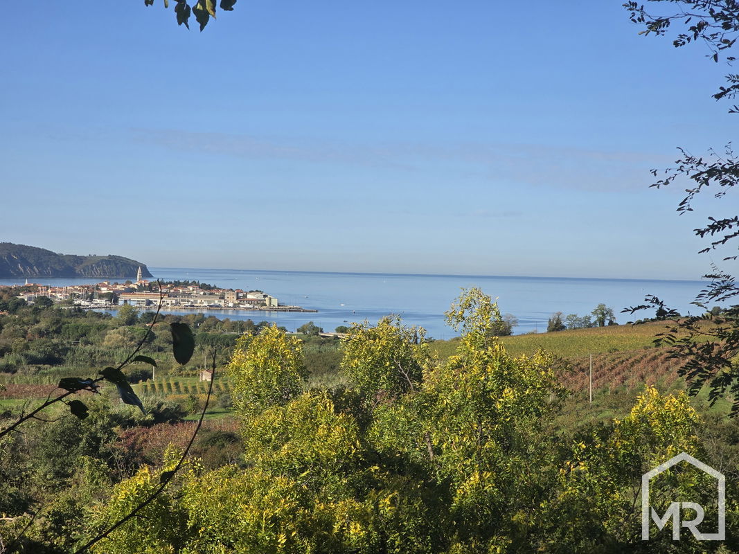 Location: Coastal-Karst, Izola, Izola