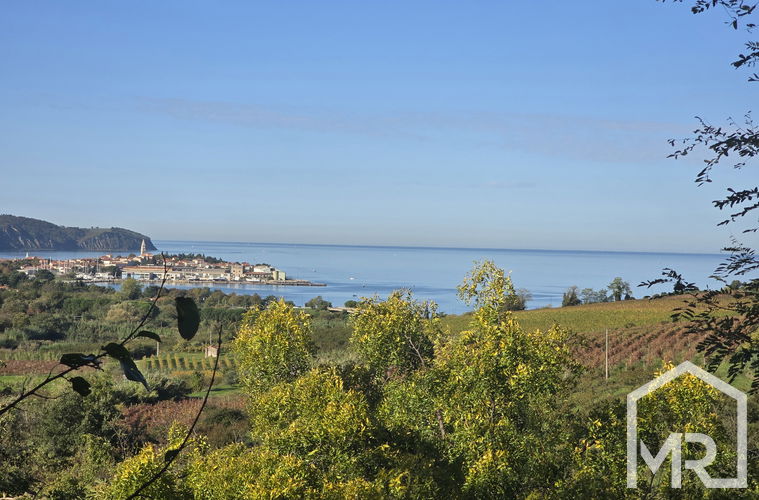 Location: Coastal-Karst, Izola, Izola