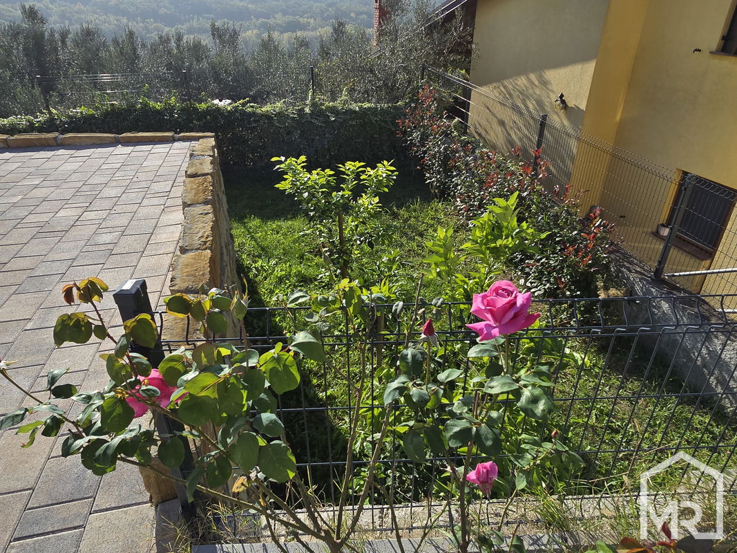 Location: Coastal-Karst, Koper, Dekani