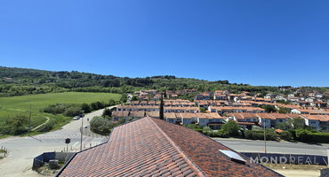 Location: Obalno - kraška, Izola, Izola