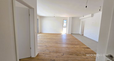 Location: Obalno - kraška, Izola, Izola