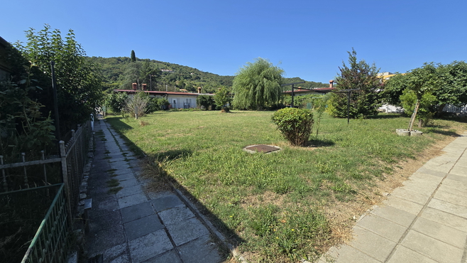 Nepremičnina: Prodaja, Hiša, Vrstna Lokacija: Obalno - kraška, Koper, Olmo