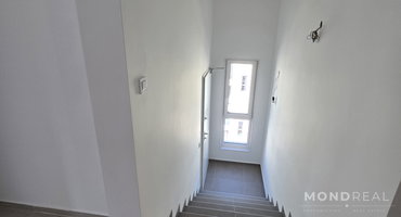 Location: Obalno - kraška, Izola, Izola