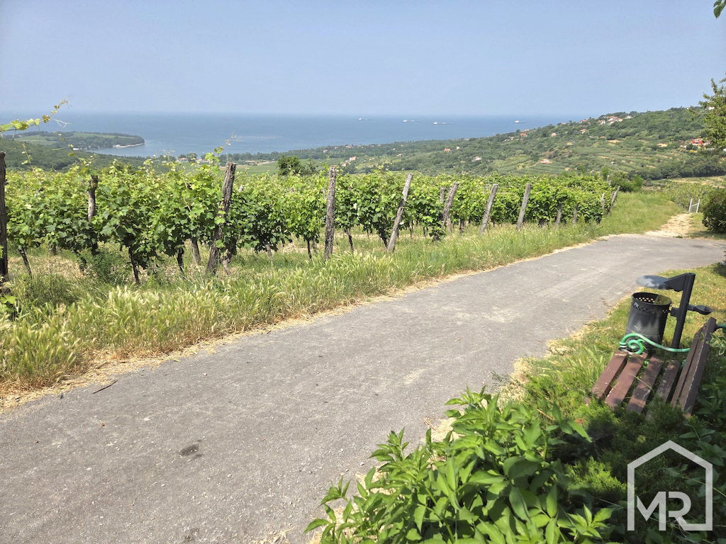 Location: Coastal-Karst, Koper, Kolomban