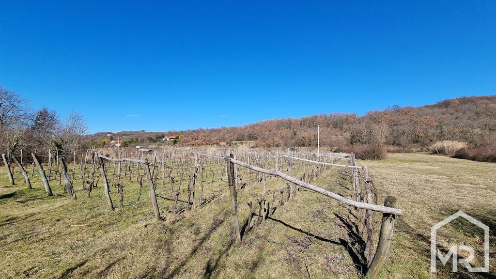 Location: Coastal-Karst, Koper, Vanganel