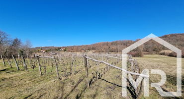 Location: Coastal-Karst, Koper, Vanganel