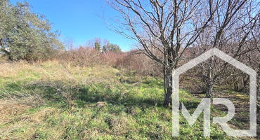 Location: Coastal-Karst, Koper, Prade