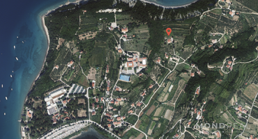 Location: Прибрежная карстовая, Piran, Strunjan