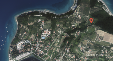 Location: Obalno - kraška, Izola, Dobrava