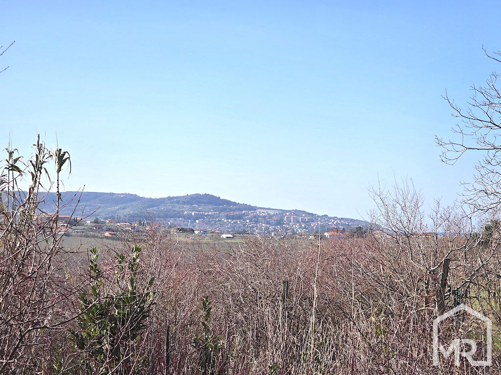 Location: Coastal-Karst, Koper, Prade