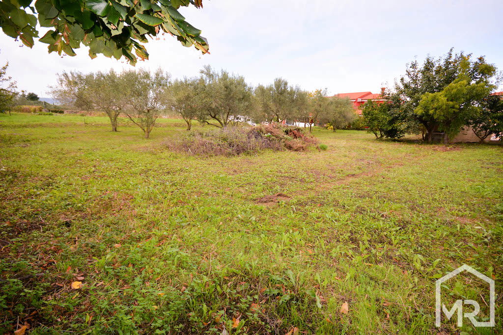 Location: Coastal-Karst, Koper, Bertoki