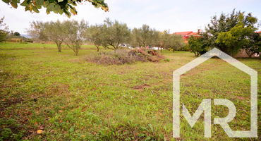 Location: Coastal-Karst, Koper, Bertoki
