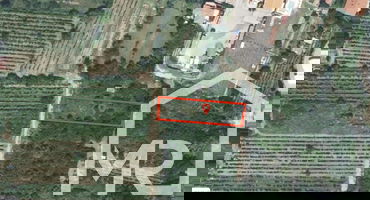 Location: Coastal-Karst, Koper, Prade