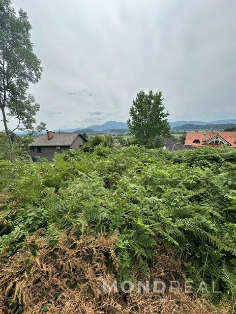 Lokacija: Ljubljana okolica, Brezovica, Brezovica pri Ljubljani