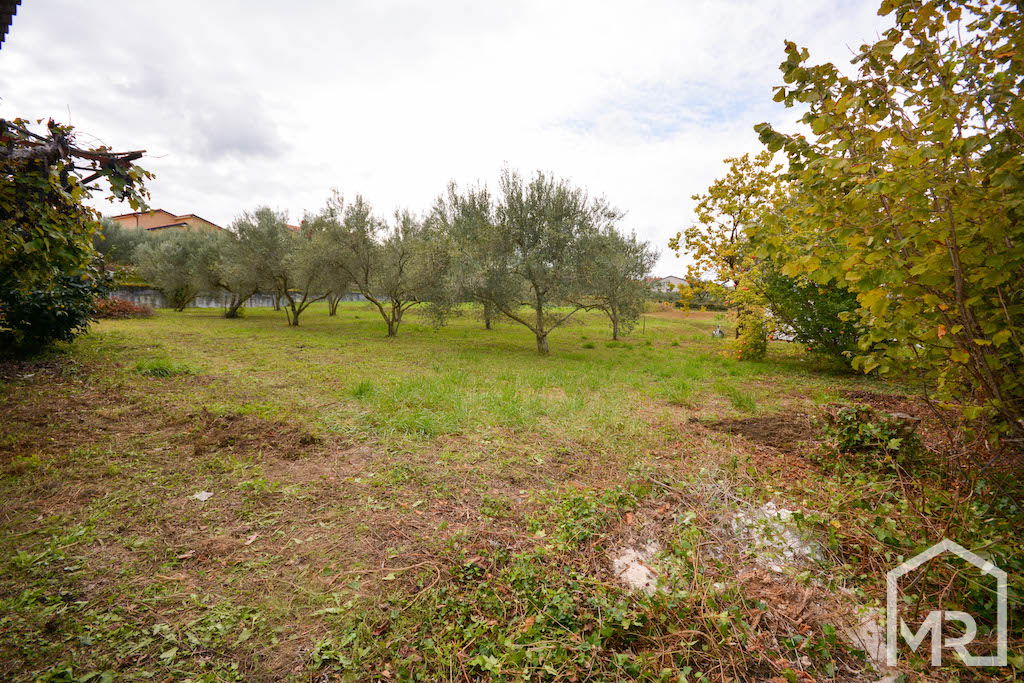 Location: Coastal-Karst, Koper, Bertoki