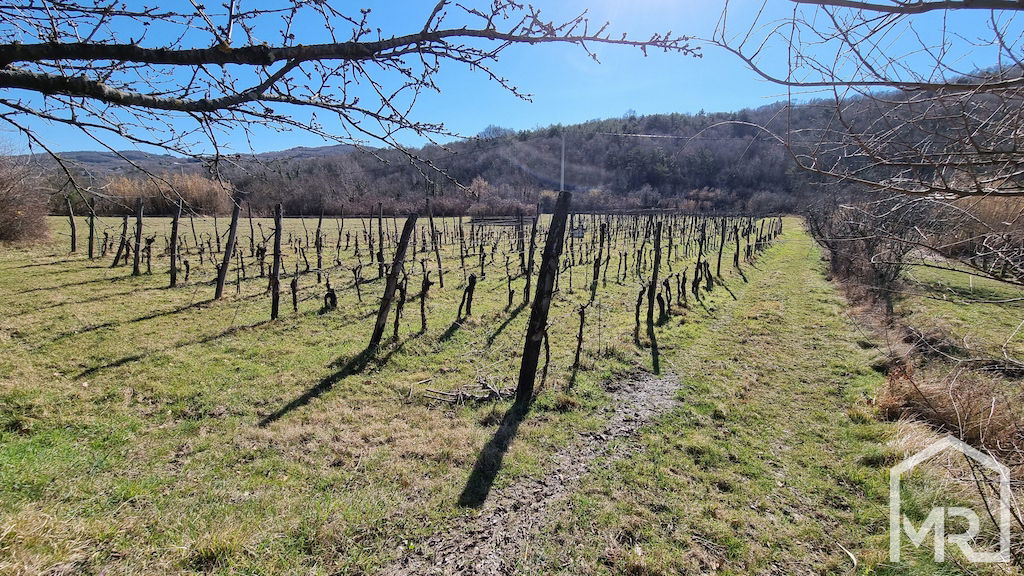Location: Coastal-Karst, Koper, Vanganel