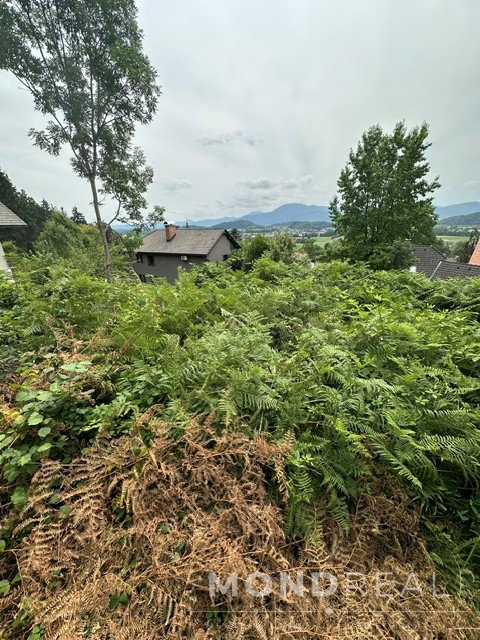 Lokacija: Ljubljana okolica, Brezovica, Brezovica pri Ljubljani