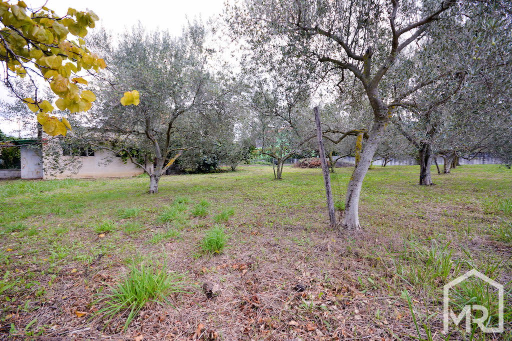 Location: Coastal-Karst, Koper, Bertoki