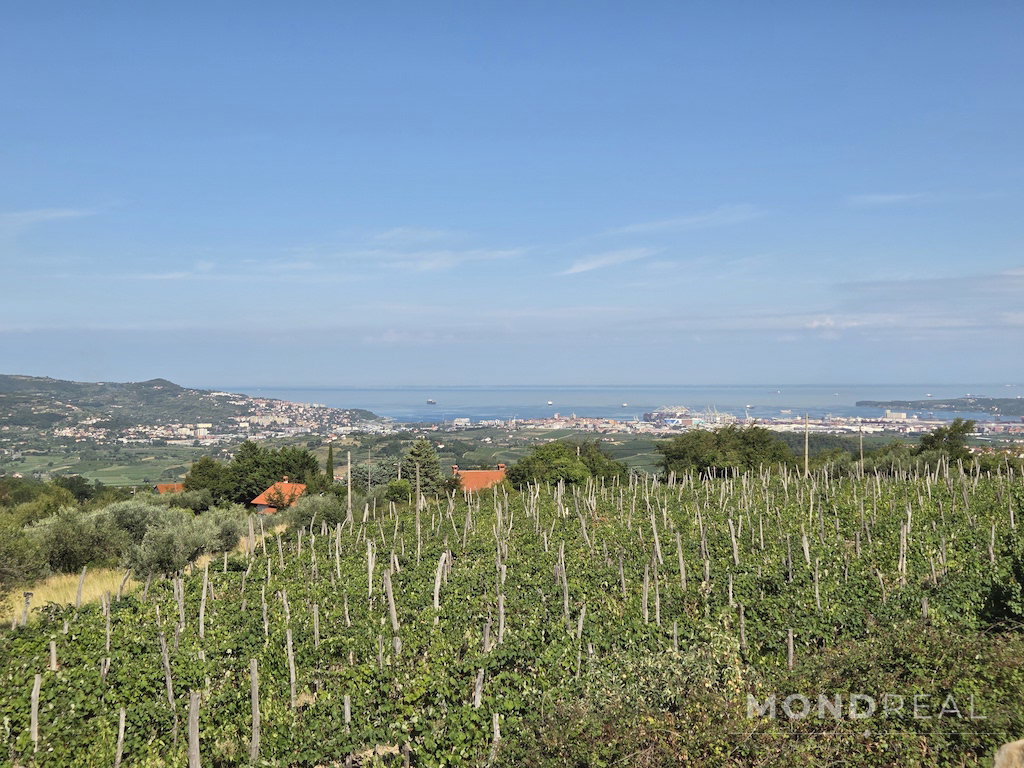Location: Obalno - kraška, Koper, Marezige