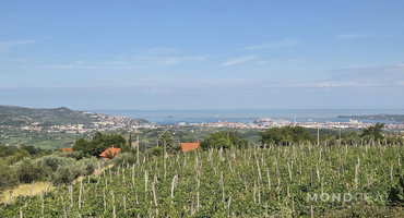 Lokacija: Obalno - kraška, Koper, Marezige
