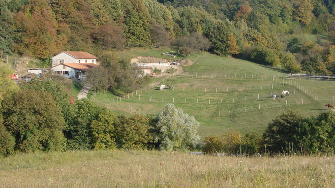 Lokacija: Obalno - kraška, Divača, Senožeče