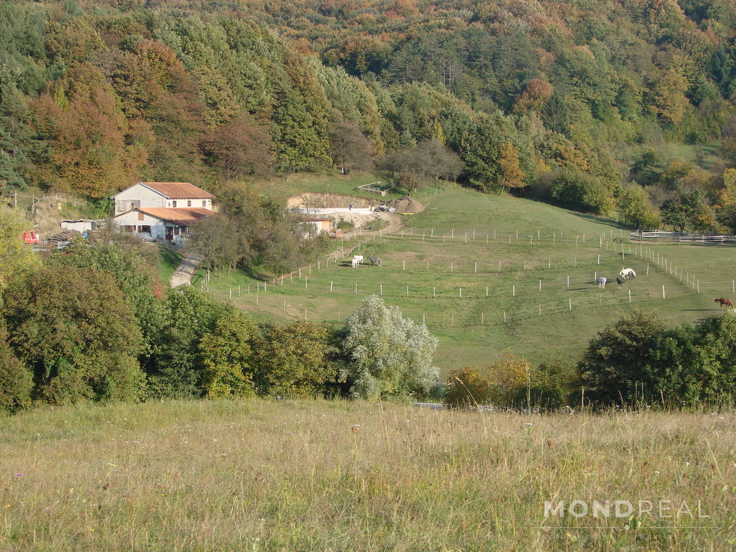 Lokacija: Obalno - kraška, Divača, Senožeče