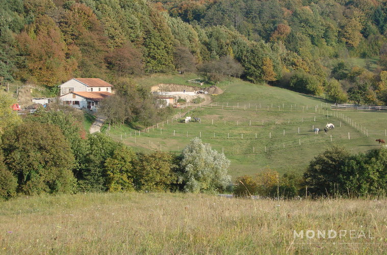 Lokacija: Obalno - kraška, Divača, Senožeče