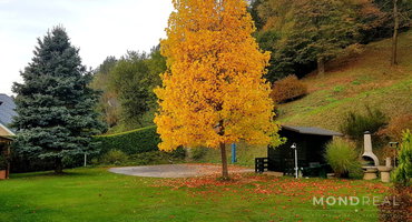 Location: Koroška, Dravograd, Vič