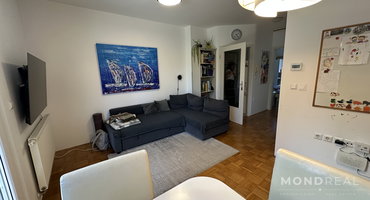 Lokacija: Ljubljana mesto, Vič-Rudnik, Dolgi most