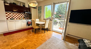 Lokacija: Ljubljana mesto, Vič-Rudnik, Dolgi most