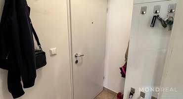 Lokacija: Ljubljana mesto, Vič-Rudnik, Dolgi most