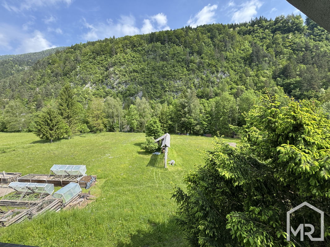Location: Горенская, Kranjska Gora, Gozd Martuljek