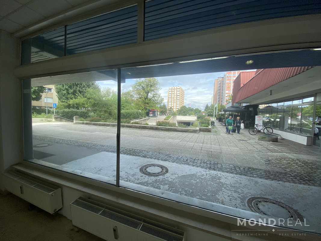 Lokacija: Ljubljana mesto, Moste-Polje, Štepanjsko naselje