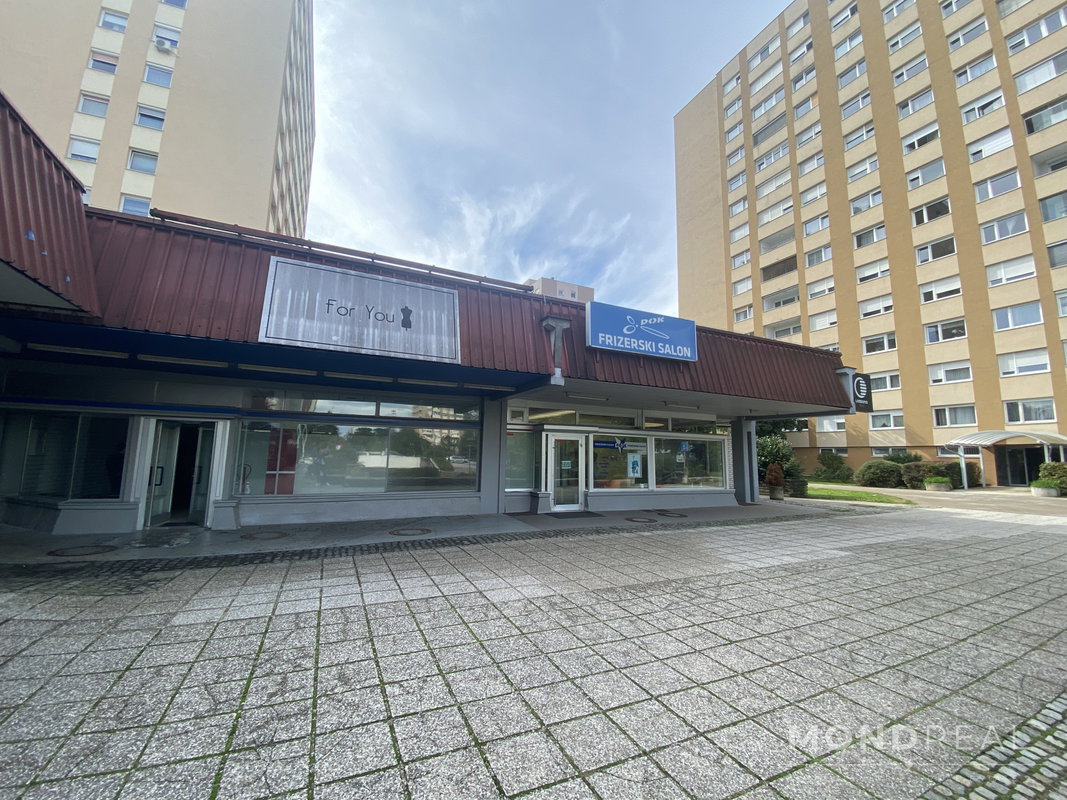Lokacija: Ljubljana mesto, Moste-Polje, Štepanjsko naselje