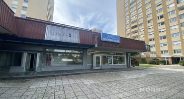 Lokacija: Ljubljana mesto, Moste-Polje, Štepanjsko naselje
